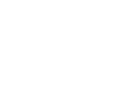 Client 12 — client of QwertyBit